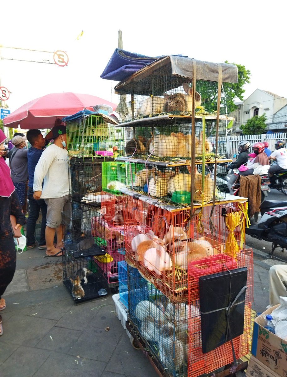 ZhaoXi___'s tweet photo. Dulu tiap balik kerja dari lebak banten - Krw sering banget mampir ksni buat rehat skalian cuci mata 😭🐒 https://t.co/8EYojRRnY4