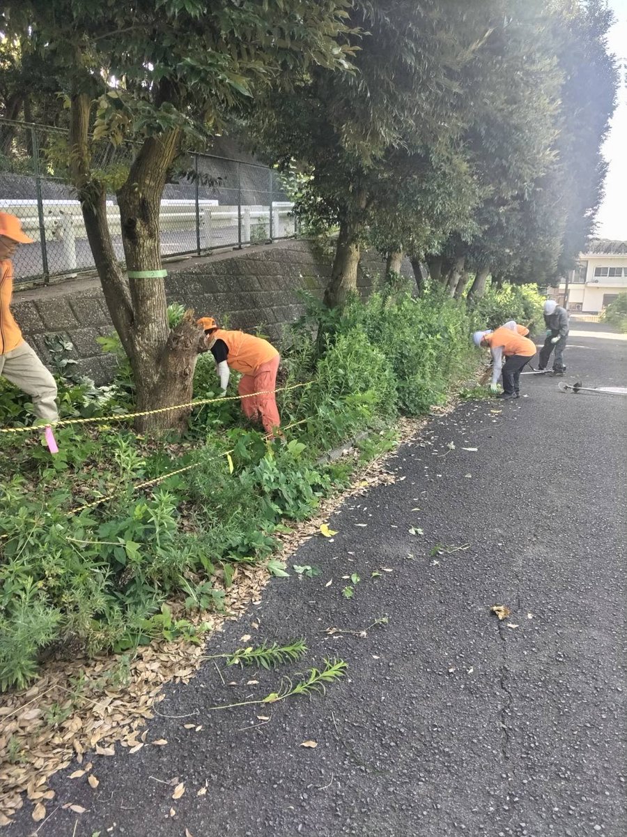 MihoForest's tweet photo. 7/25(土)この日の作業は、直射日光を避けて西側の保存緑地F-5内の草刈りでした。ビフォーアフター
9人参加のうち、2名様は新規加入の有力候補です。お疲れ様でした… https://t.co/LBKZ2XJyh1