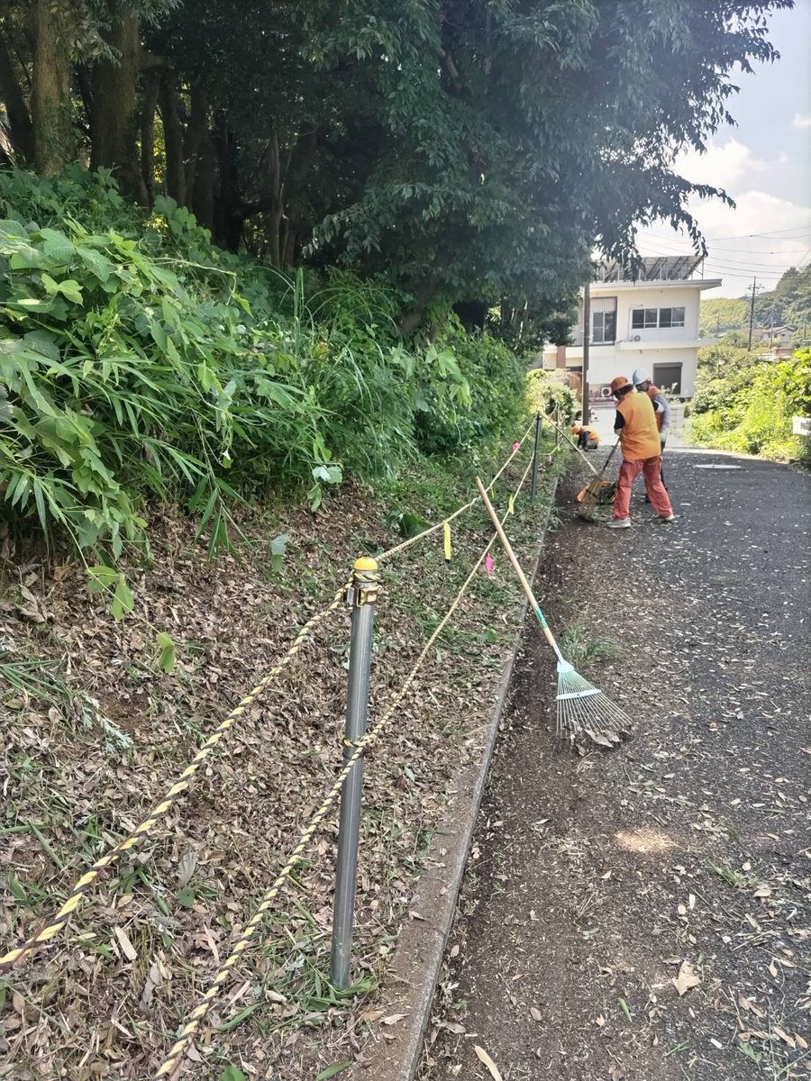 MihoForest's tweet photo. 7/25(土)この日の作業は、直射日光を避けて西側の保存緑地F-5内の草刈りでした。ビフォーアフター
9人参加のうち、2名様は新規加入の有力候補です。お疲れ様でした… https://t.co/LBKZ2XJyh1