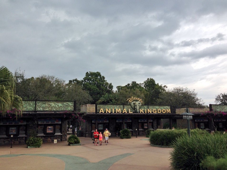 Mousebatecom's tweet photo. Animal Kingdom is changing its name to Nahtazu. https://t.co/VIsmdmIs3N