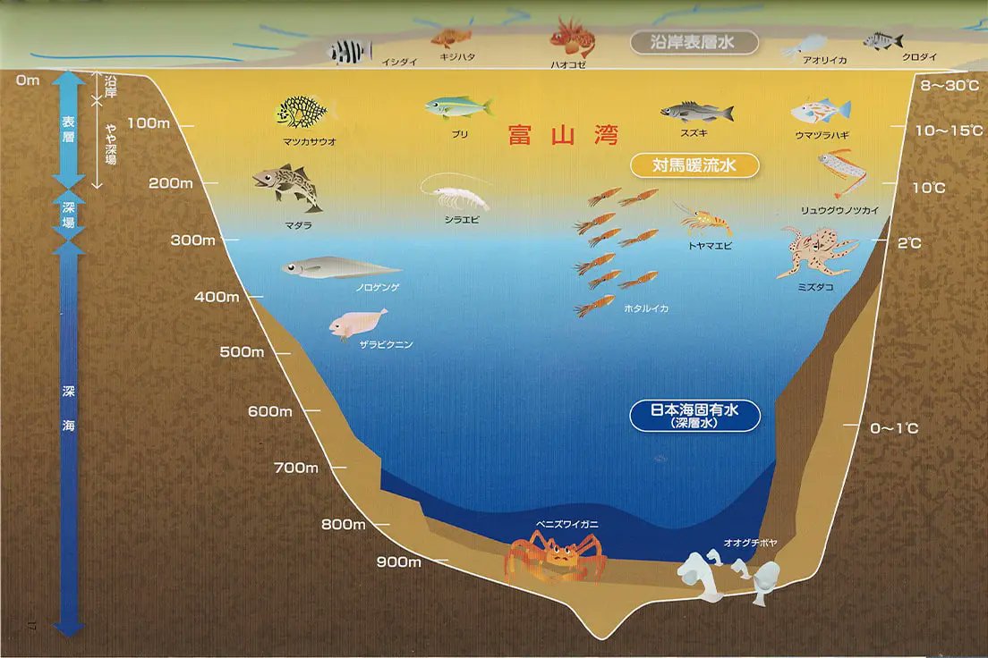 見守る会 tweet media