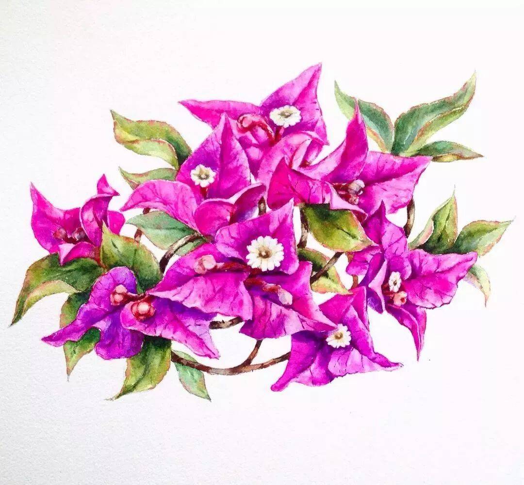 OlNecaeva's tweet photo. Trying watercolor painting for the first time and wow—this colorful little hobby just made my boring Tuesday way brighter! Who’s got a low-stakes hobby to recommend https://t.co/ePbfHqQgfM