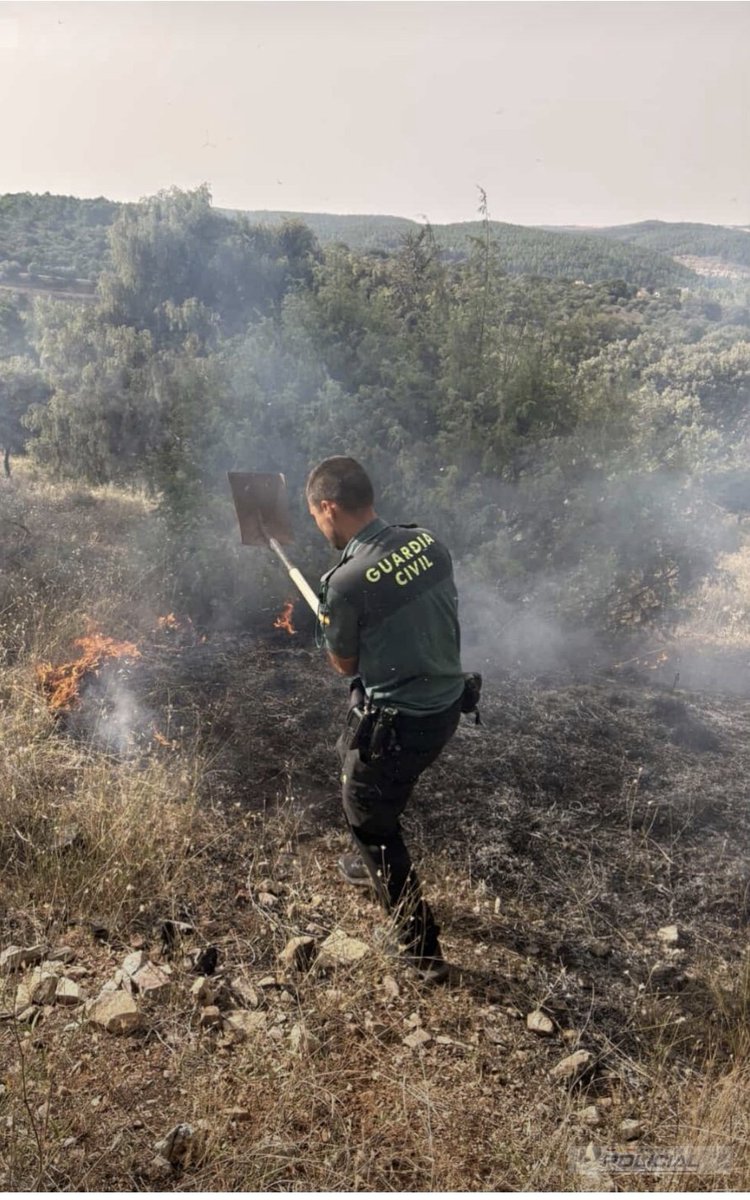 AUGCMADRID's tweet photo. Desde @AUGCMADRID queremos mostrar todo nuestro apoyo a todos los compañeros que están interviniendo en los graves incendios que están activos,algunos de ellos han perdido sus casas y sus vehículos como muchos ciudadanos, valorar el esfuerzo que están realizando jugándose la vida https://t.co/r7JyvRzhDn