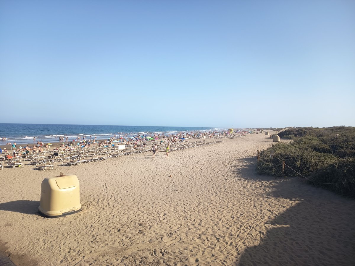 CanariasLele's tweet photo. Tarde de 🏖️. Playa del inglés https://t.co/GQIVe1MYev