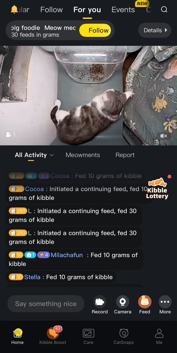 onlywithx's tweet photo. The next cat to have a full plate,

https://t.co/Pl0bwnqQ5N https://t.co/eyGKOXPSns