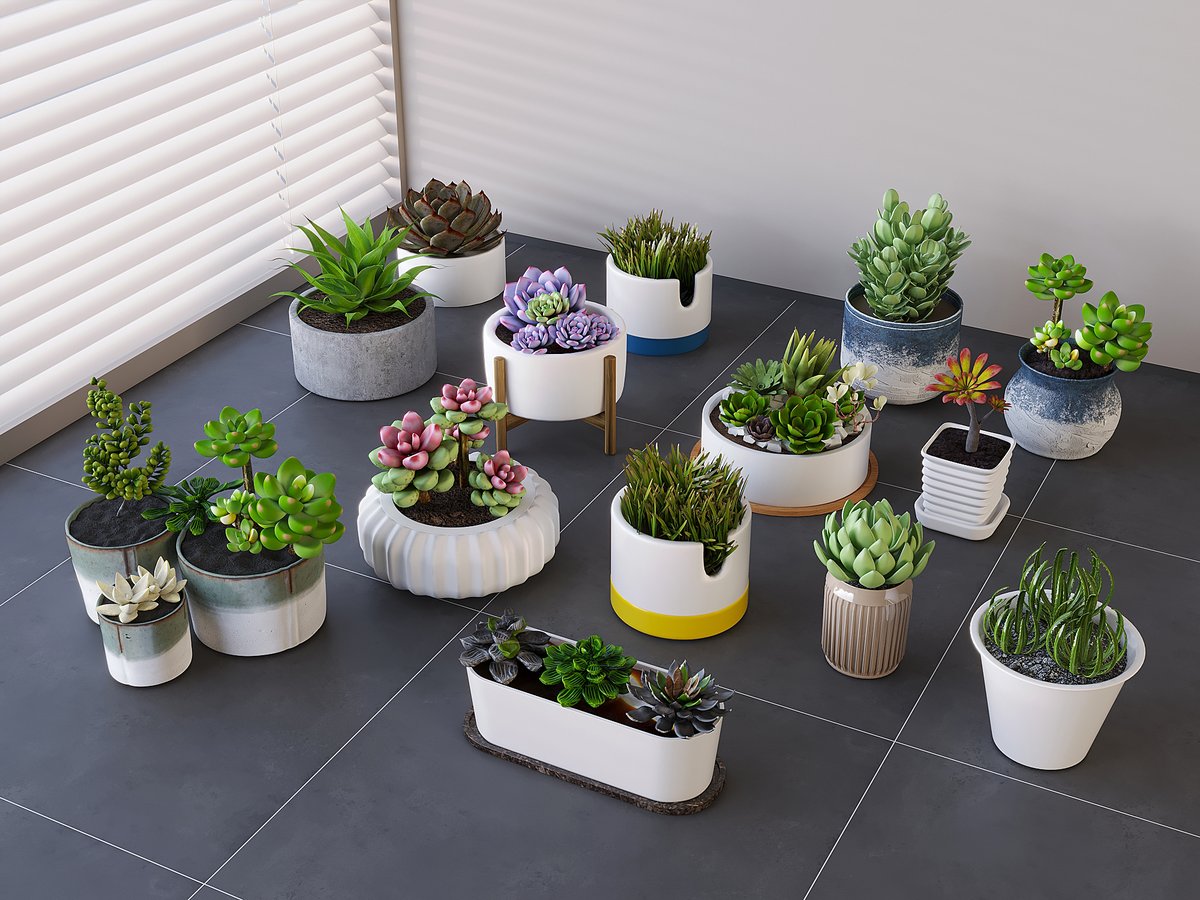 Inmacul19402106's tweet photo. Upgrade your desk vibe: a tidy surface, a small potted succulent, and a warm desk lamp make work feel way less stressful.  #DeskGoals #WorkFromHome https://t.co/43TM7jC3QO