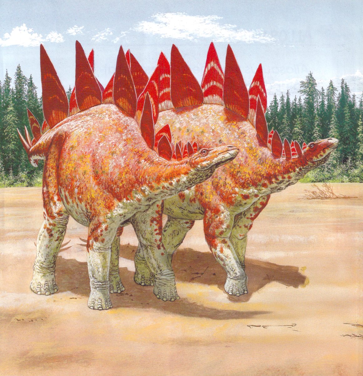 CorporalRex's tweet photo. Will forever love James Field's paleoart, ever since I was a kid I would go through my copy of Encyclopedia of Dinosaurs. I went through it so much the hardcover was starting to fall off. https://t.co/54o5rfPaHn