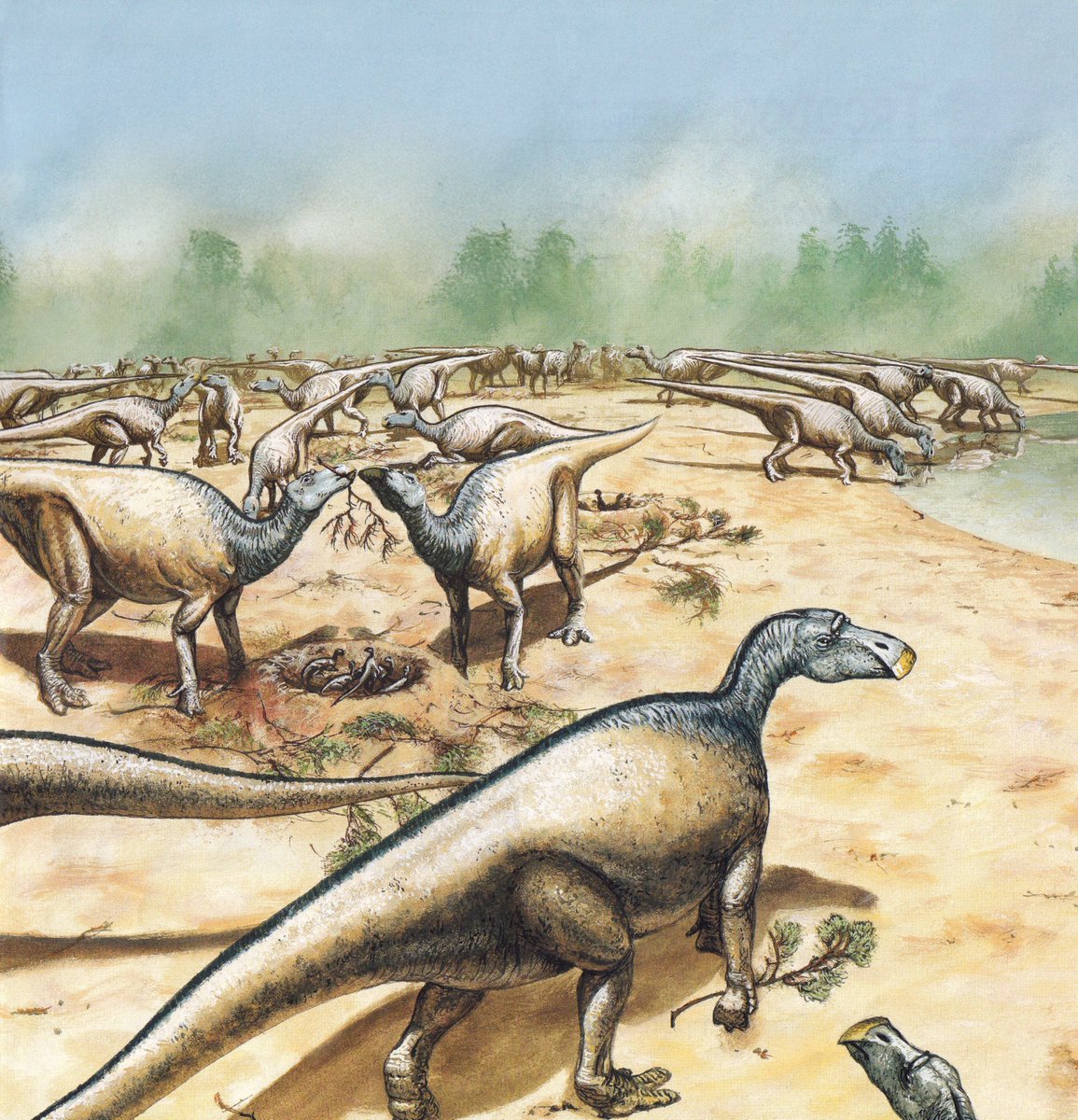 CorporalRex's tweet photo. Will forever love James Field's paleoart, ever since I was a kid I would go through my copy of Encyclopedia of Dinosaurs. I went through it so much the hardcover was starting to fall off. https://t.co/54o5rfPaHn