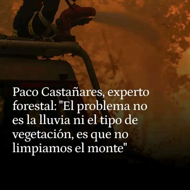 Fantasmade_'s tweet photo. La derecha covidianoica y cambioclimática no da para más! 
Sánchez malo, porque no limpia los montes.
Sánchez malo, que nos confinó tarde y poco tiempo en el COVID.
Idiotas!!!!!!! https://t.co/srbFbz70JR