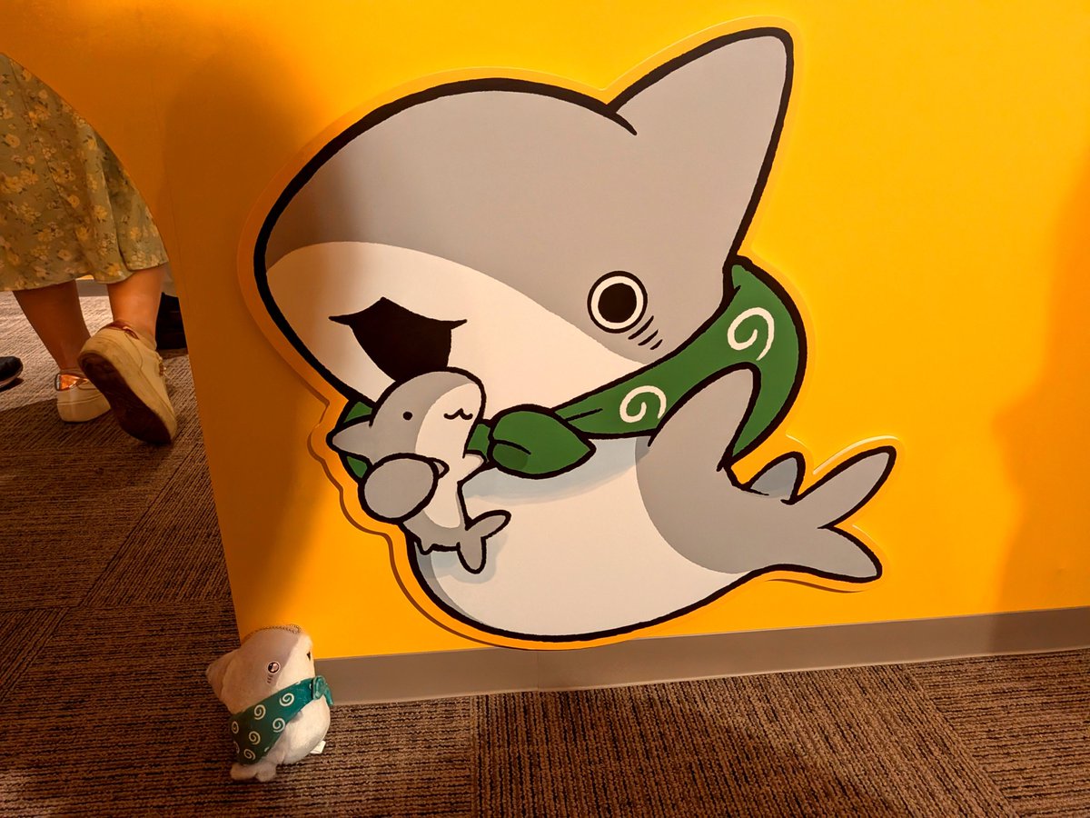 CloReco_'s tweet photo. 子ザメ展めっちゃはしゃいできました〜！、
一緒に行ってくれた鉛屋ちゃんに感謝！🥹🙏💕

＼みんな見てみて。疲れたオトナに、いい💊です😊／ https://t.co/JO0r8LFeUr