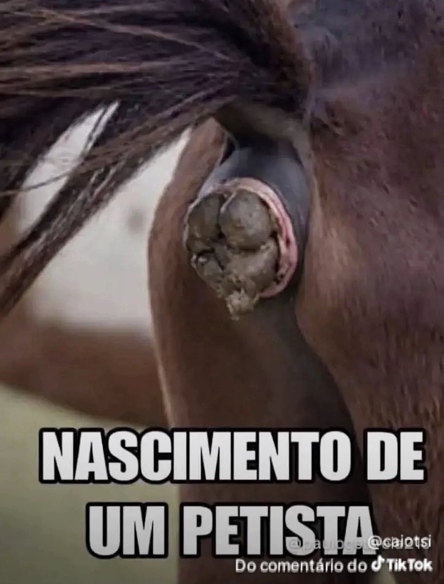 RicardoGreter's tweet photo. @moddocky70763 @lindberghfarias Babaca canhota kkkkkkk https://t.co/vyoq3rLvdm