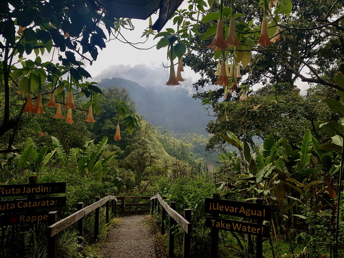 NightSkyToday's tweet photo. JUST IN🚨: In a historic environmental turnaround, Costa Rica has doubled its rainforest canopy over the last few decades, making it the very first tropical nation to fully reverse deforestation. https://t.co/sGiSWhpn2H