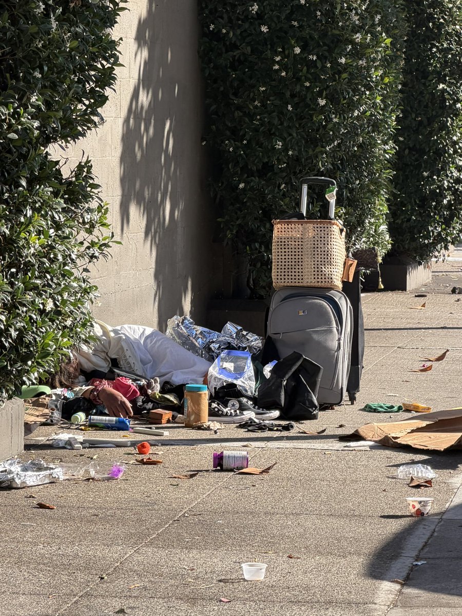 1r0nm41d3n13's tweet photo. There’s a fucking worthless shitbum snoozing off a high in all that trash NEXT DOOR TO MY FUCKING HOUSE @DanielLurie @mattdorsey https://t.co/JHdOS9YIzB