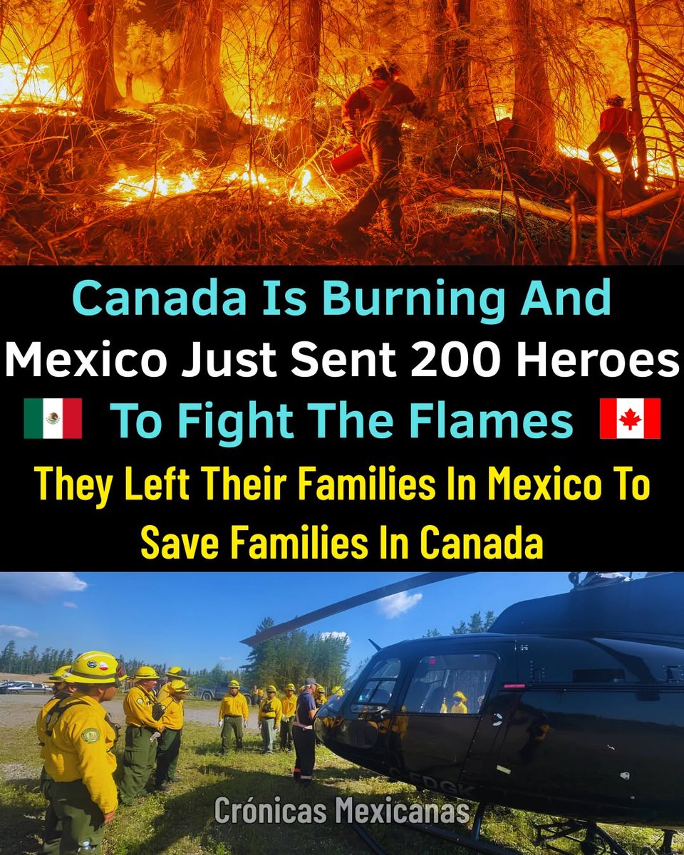 MrJoKeR604's tweet photo. Thank you, Mexico.

🇨🇦♥️🇲🇽 https://t.co/Hoz76CnXi0
