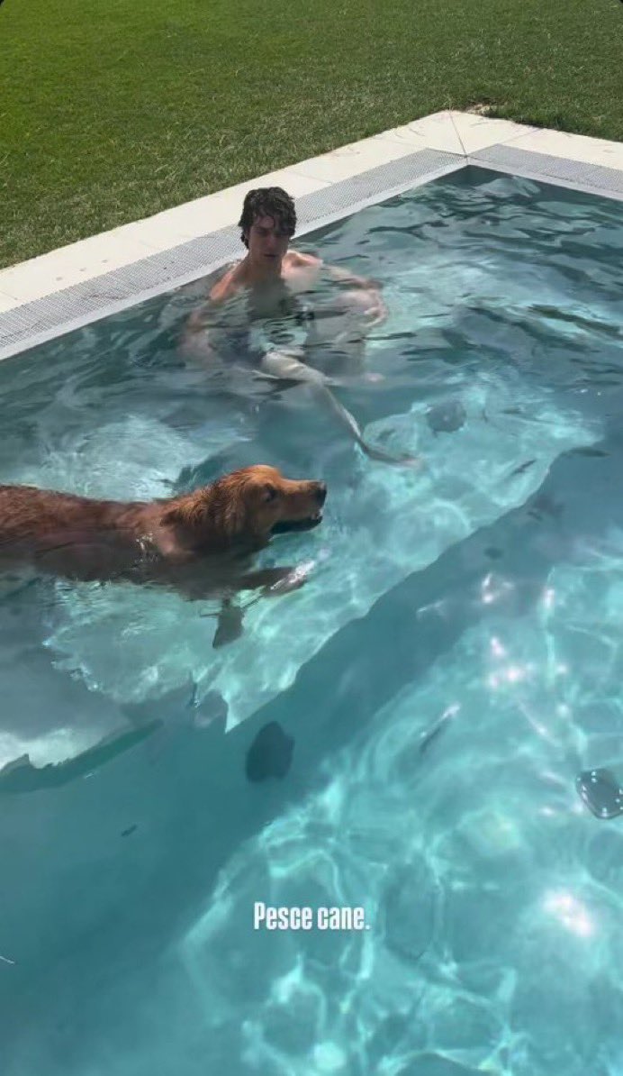 Melimancin's tweet photo. Il cane di Amedeo è più fortunato di me https://t.co/bnT0DesGVn