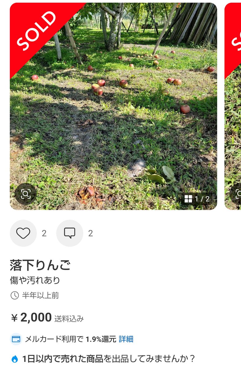 mrnobuyuki's tweet photo. なら、メルカリよ。説明してくれ。

怪しいアカウントが、落下りんごとか、カキツバタの抜き苗を販売してて、1日以内には売り切れてるんだけど。
こういうものはメルカリとしては、ガイドラインに沿ってるのか？

別に何人が販売してるとかでなく、盗品の疑いはないと言える根拠を教えてくれ。 https://t.co/62WmNylK9h