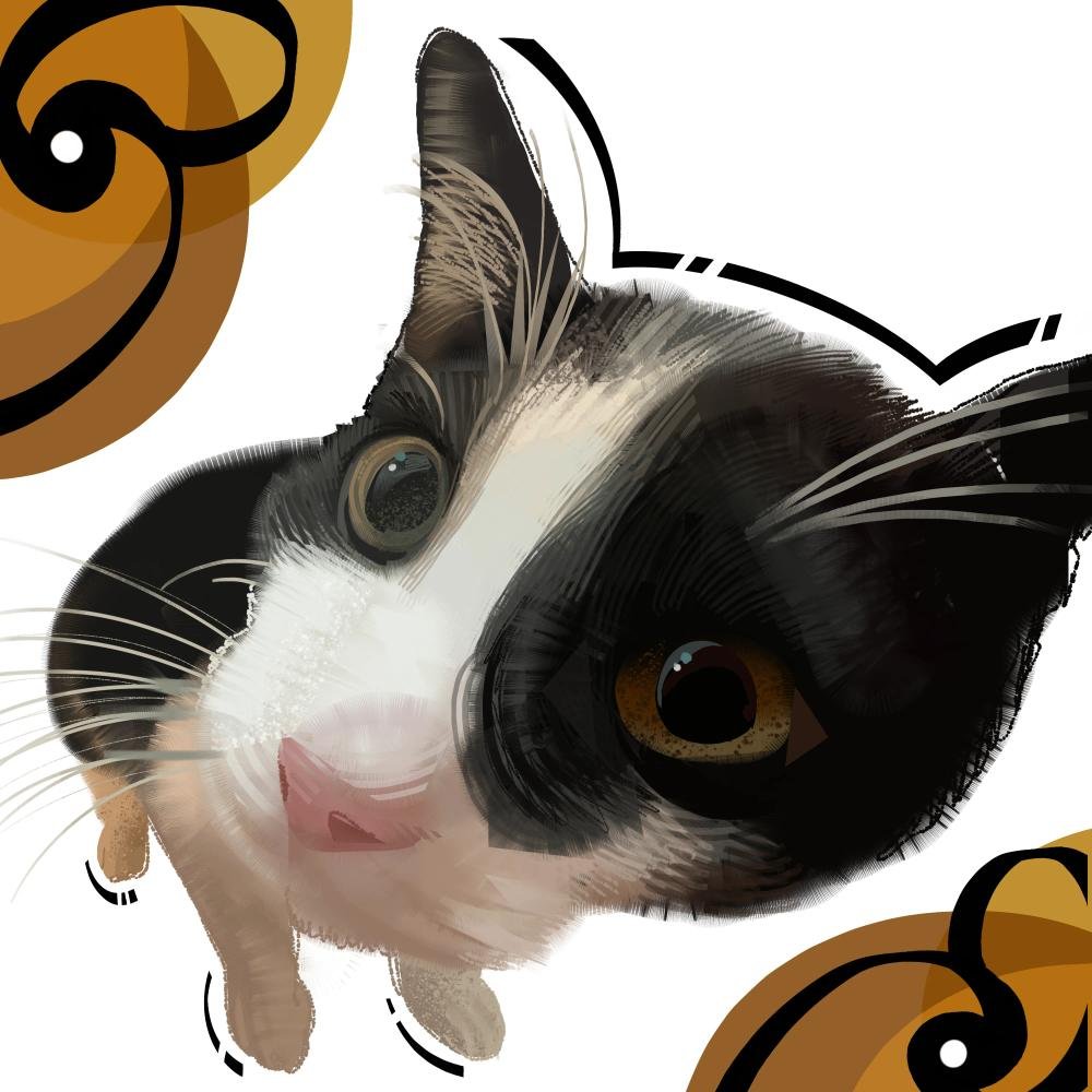 ★NDH★ (Pet Coms Open!!) tweet media