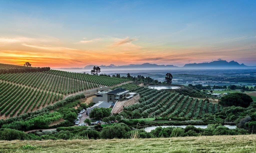 monsieurponto's tweet photo. Hidden Valley Wines, owned by Mr and Mrs Motsepe. 

Location: Annandale Road, Stellenbosch, about halfway between Stellenbosch and Somerset West. 

They have a tasting room as well. https://t.co/AME92P7LqK
