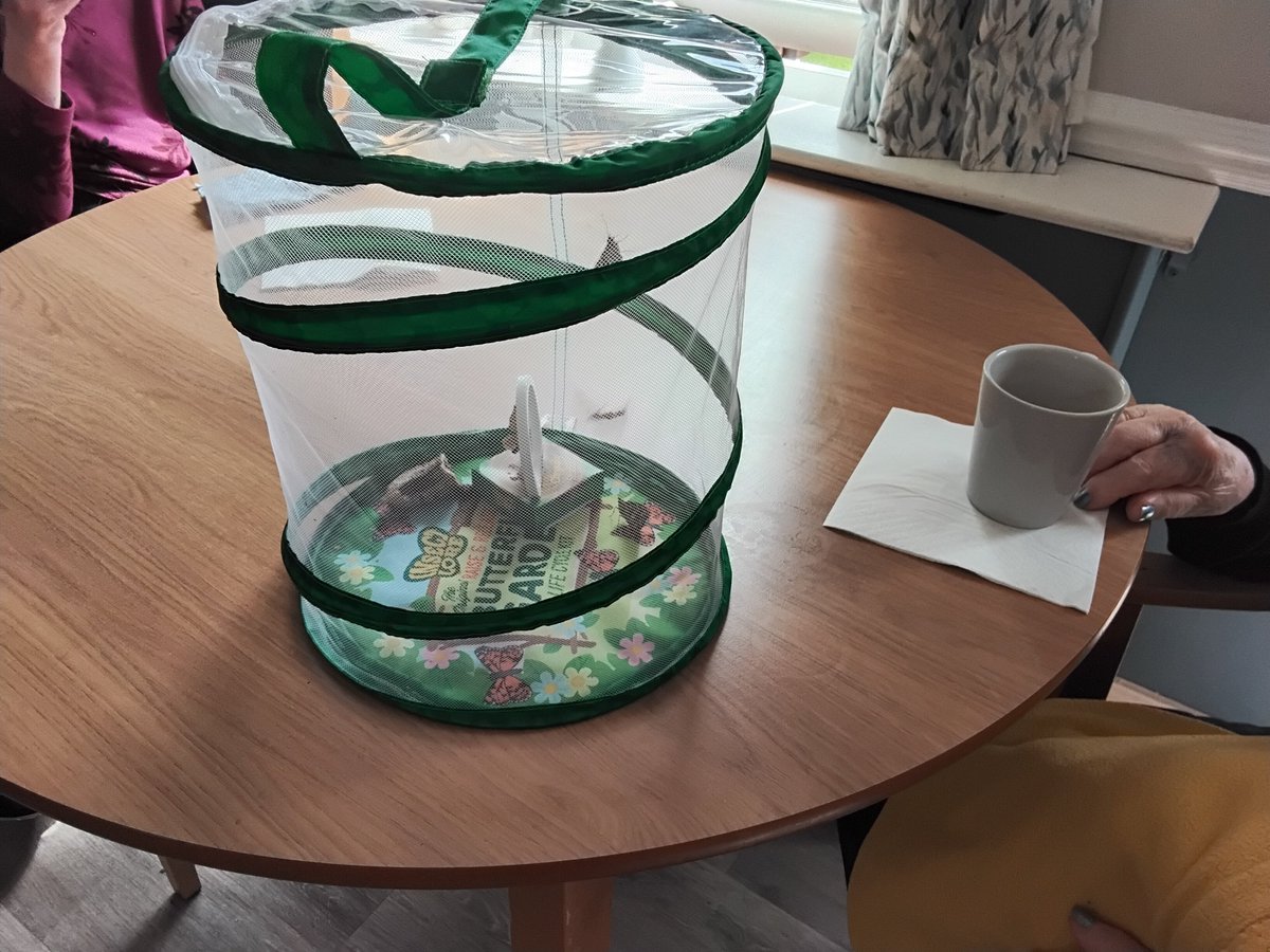 RedHouse44's tweet photo. Residents saying goodbye to our butterflies before we released them into the garden #hicaactivities #bridlington #carehome https://t.co/oz6Fmz92kw