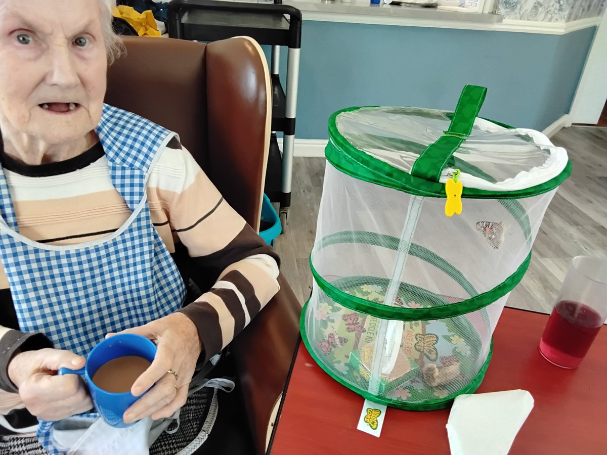 RedHouse44's tweet photo. Residents saying goodbye to our butterflies before we released them into the garden #hicaactivities #bridlington #carehome https://t.co/oz6Fmz92kw