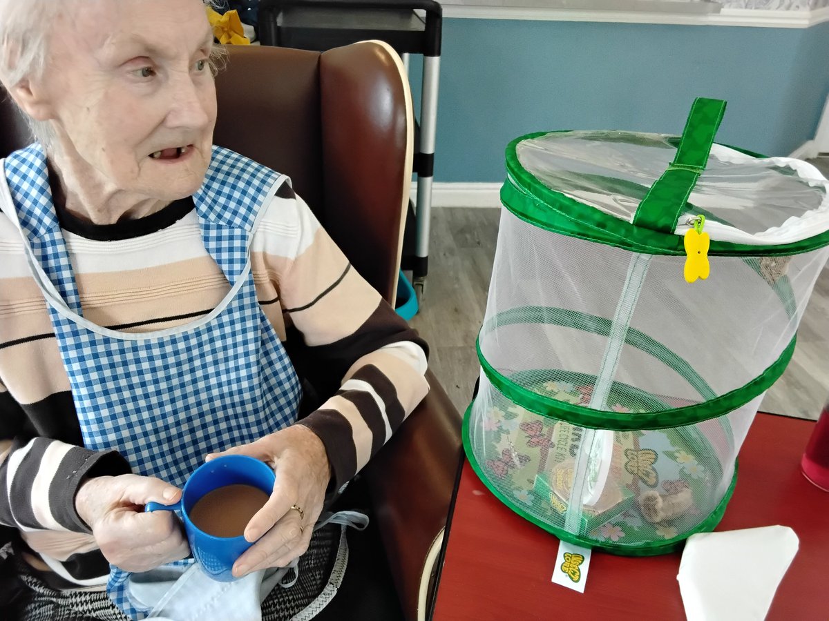 RedHouse44's tweet photo. Residents saying goodbye to our butterflies before we released them into the garden #hicaactivities #bridlington #carehome https://t.co/oz6Fmz92kw