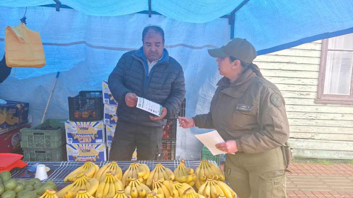 Carabineros Región del Bío Bío tweet media