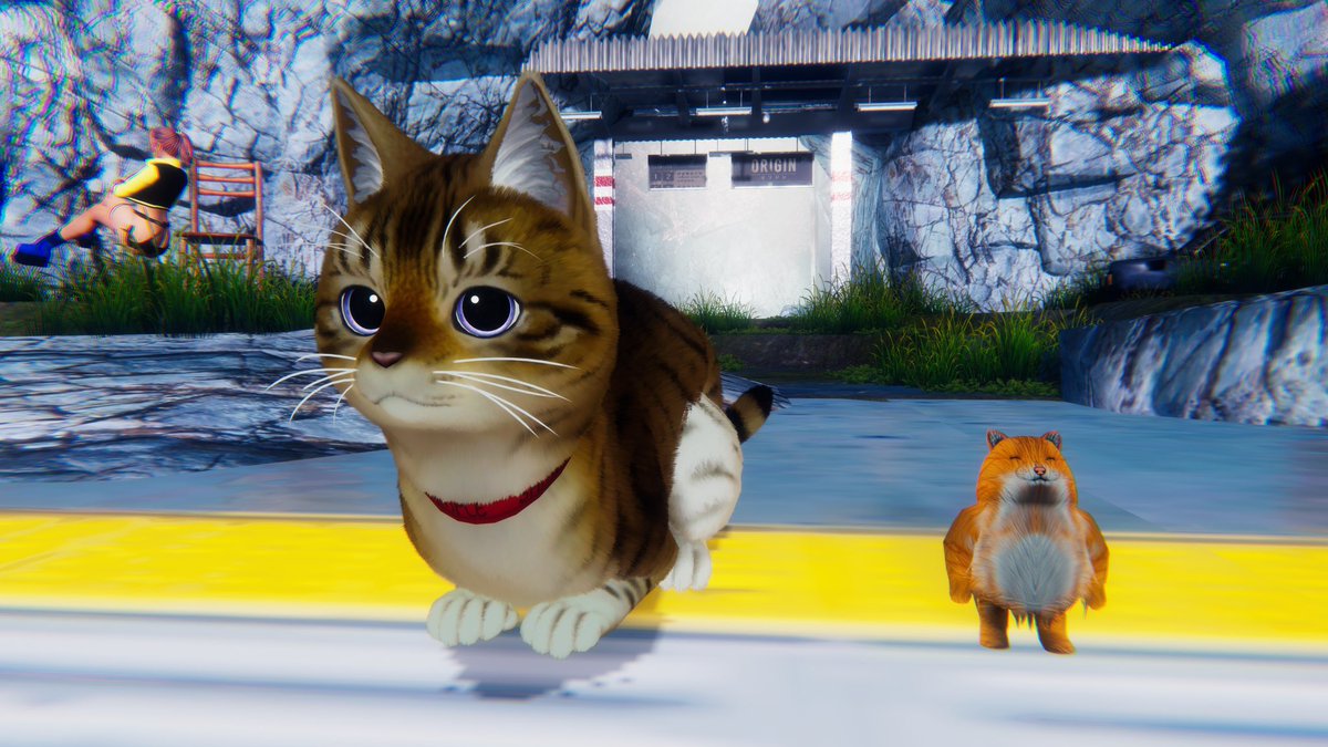 kukaneffect_vrc's tweet photo. #vrchat #beauty #world #cats https://t.co/Gu0R8UkjCX