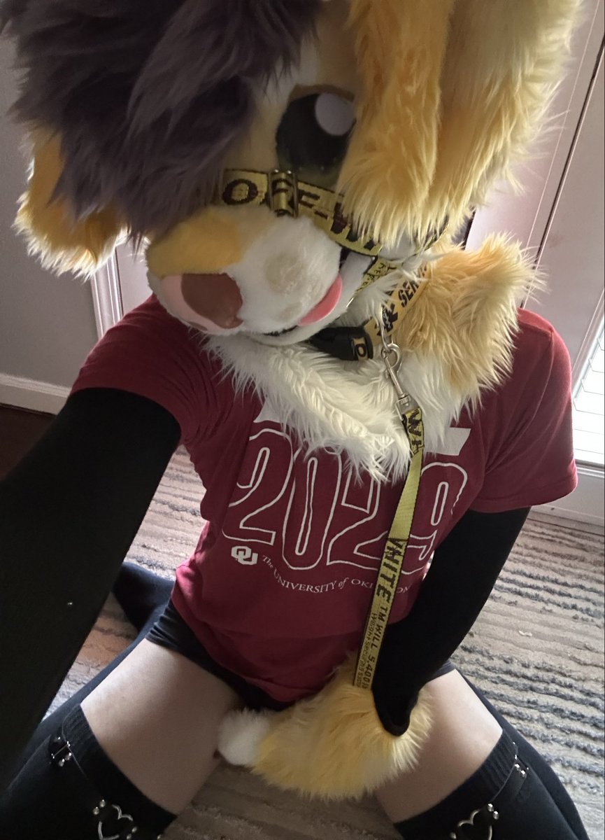 figsthedog's tweet photo. most masculine astrophysics major right here everybody

#furry #fursuit #femboy https://t.co/Kcye5SWot6