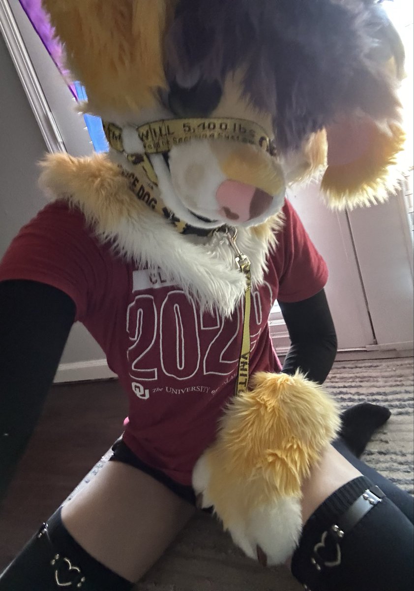 figsthedog's tweet photo. most masculine astrophysics major right here everybody

#furry #fursuit #femboy https://t.co/Kcye5SWot6