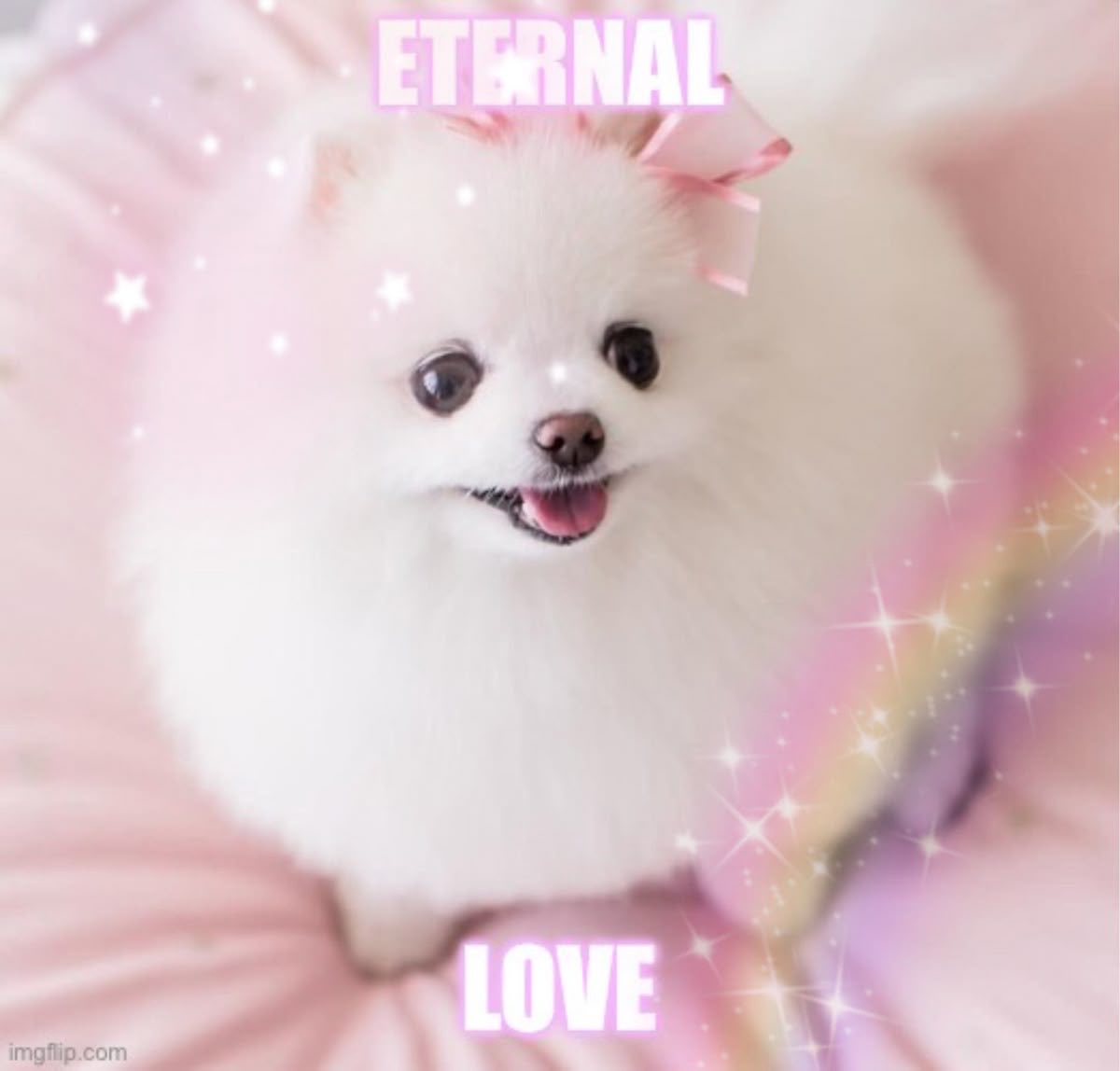 pupscakes's tweet photo. avoiding the ad problem here are the images that popped up for "pupscakes" !! https://t.co/kGgYMTbsMV