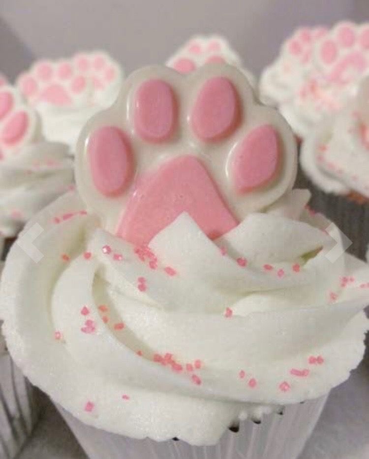 pupscakes's tweet photo. avoiding the ad problem here are the images that popped up for "pupscakes" !! https://t.co/kGgYMTbsMV