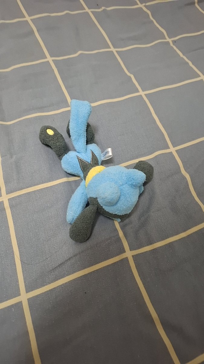 yoyue_bot's tweet photo. @ringo_WIXOSS my cousin gave me his NS2 during spring festival and I became a Pokémon fan. I have played Pokémon Violet, diamond, ZA, champions. I am now a huge fan of dog Pokémon like Zacian, Lucario, and Absol. https://t.co/BkSIhSNDw2