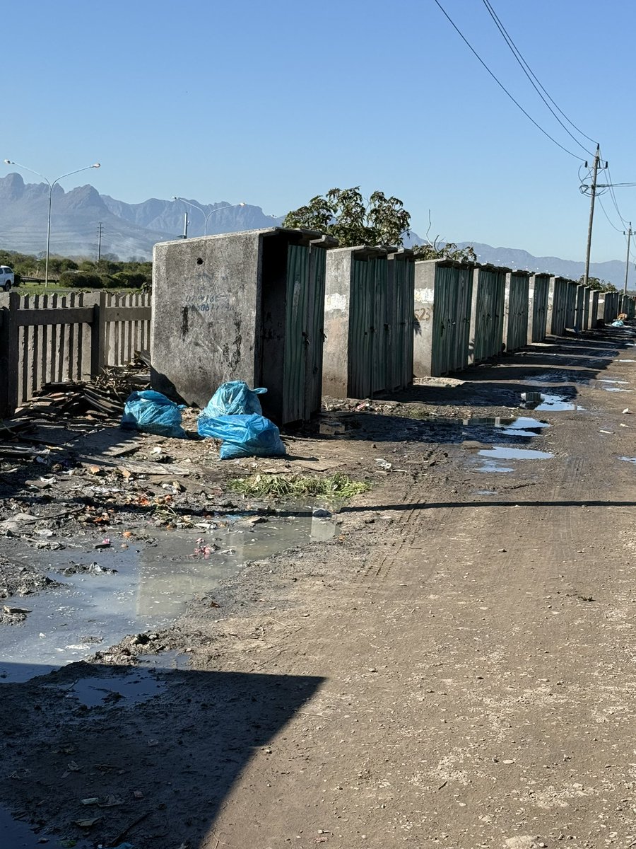 Brett Herron 🇿🇦🍉 tweet media
