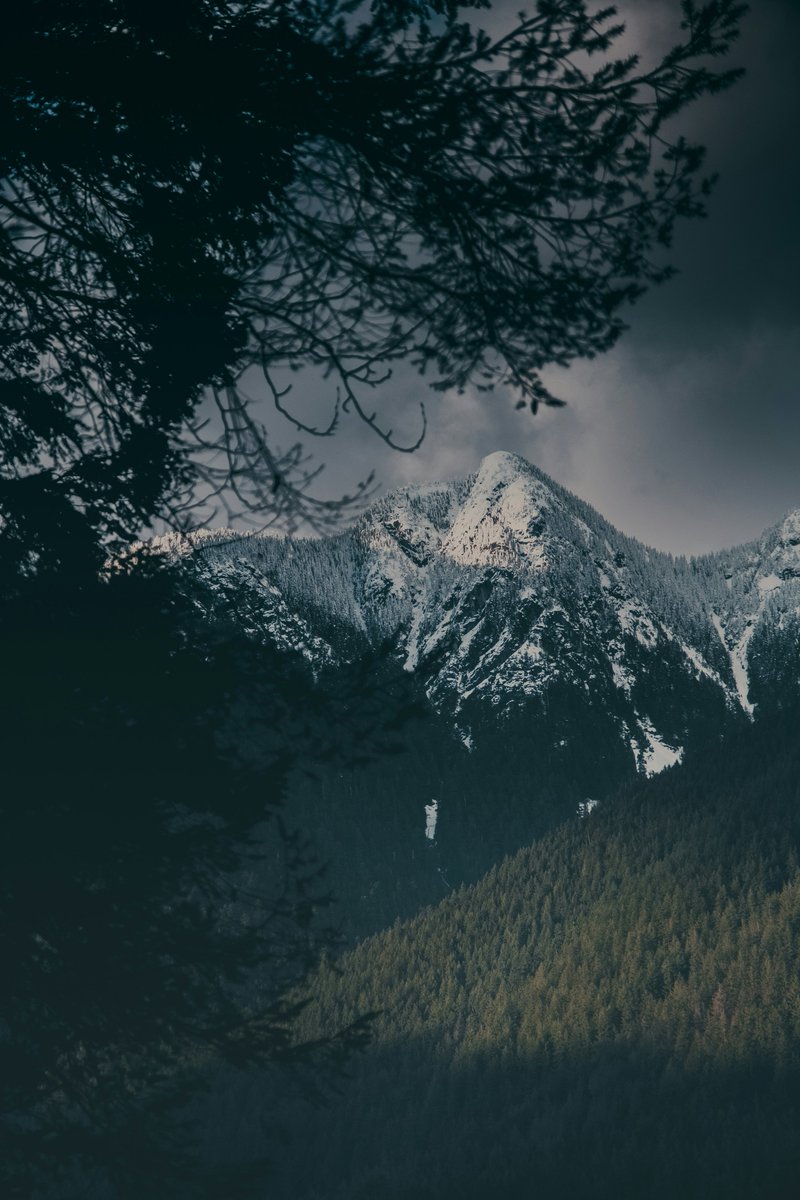 earthcurated's tweet photo. "Some places just make you forget the noise of the world." https://t.co/oBJPQRMxCA
