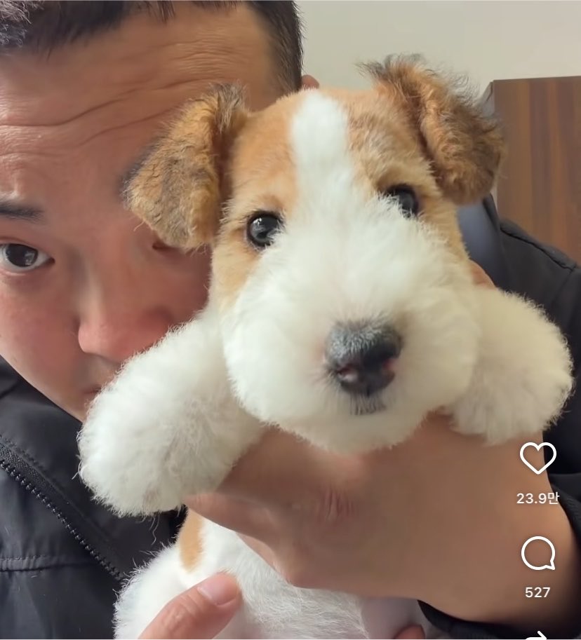 uuuui02's tweet photo. 릴스보다가 김민재 봄 https://t.co/Mo4gLqYMQq