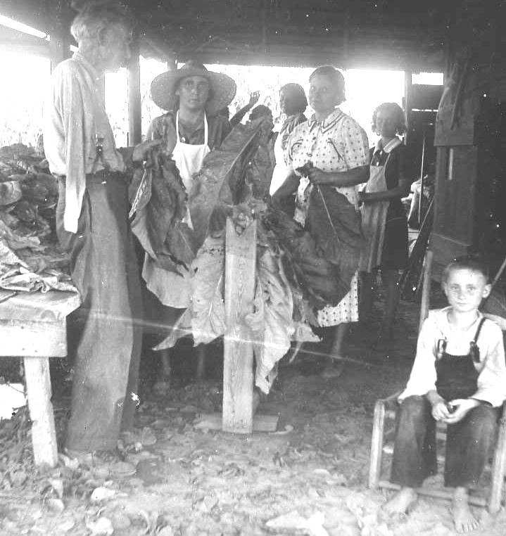 HCGmuseum's tweet photo. L.W. Paul Living History Farm Tobacco Heritage Day! 
Saturday, August 1st from 9 AM-Noon.
Farm is located at the corner of Hwy 701 North and Harris Short Cut Road in Conway, S.C.  
Event is free and open to the public. https://t.co/gJB1MzfJxU. https://t.co/XOBLDO0GB3
