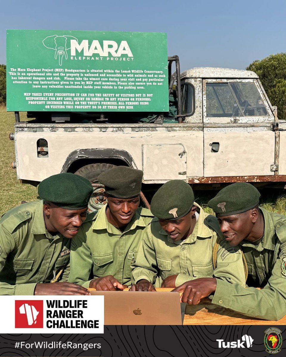 MaraElephant's tweet photo. The road to the 2026 #WildlifeRangerChallenge is underway! 

This week, the Mara Elephant Project ‘MEP Bulls’ team took on the first challenge of the competition: the quiz; testing their knowledge of the African Ranger Congress Action Plan, ranger fitness, and professional standards. 

Developed by more than 150 rangers from 20 African countries at the 2025 African Ranger Congress, the Action Plan is a shared commitment to strengthening the ranger profession. It calls for greater investment in ranger welfare, high standards of conduct and professionalism, equal opportunities, stronger partnerships, and continued service to both people and nature. 

Now we're waiting for the results, and wishing the best of luck to the MEP Bulls! If you'd like to support them on their Wildlife Ranger Challenge journey and help invest in the future of Africa's wildlife rangers, visit this link: https://t.co/g6LELYvF4u 

#WildlifeRangerChallenge #ForWildlifeRangers 
@gamerangersassociationofafrica @tusk_org