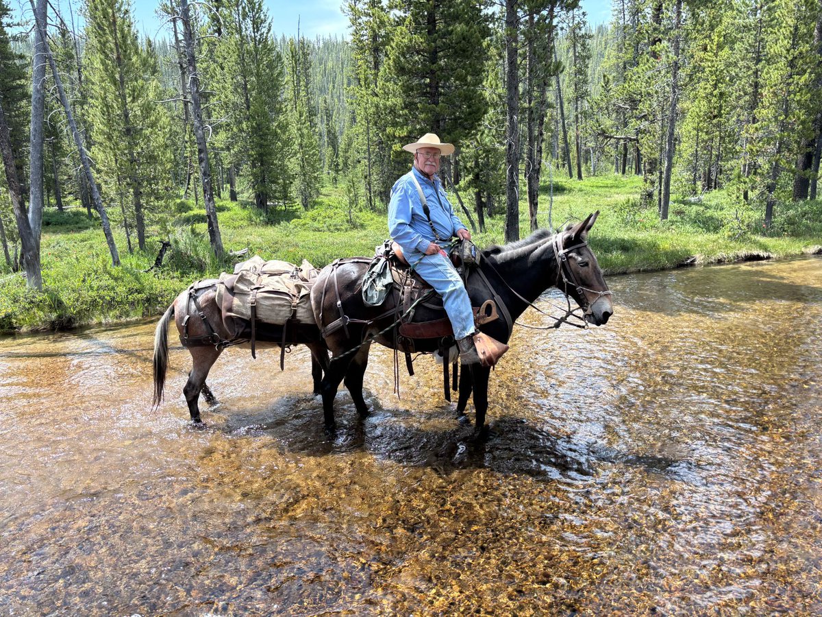 muleranch's tweet photo. Queen Valley saddles go everywhere and anywhere.

Bill sent in this great photo from up in Idaho; he has been riding in my saddles for over 15 years!

When a saddle is built right for mule and donkey anatomy, it is made to keep going wherever the trail leads. https://t.co/ixkLiytnAt