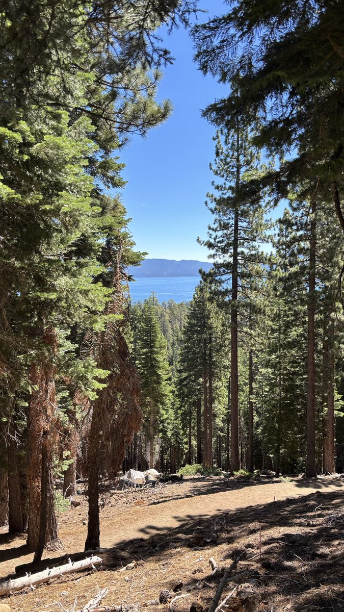 Robert_Drop's tweet photo. Quick trip to tahoe https://t.co/JxK1sQEXQi