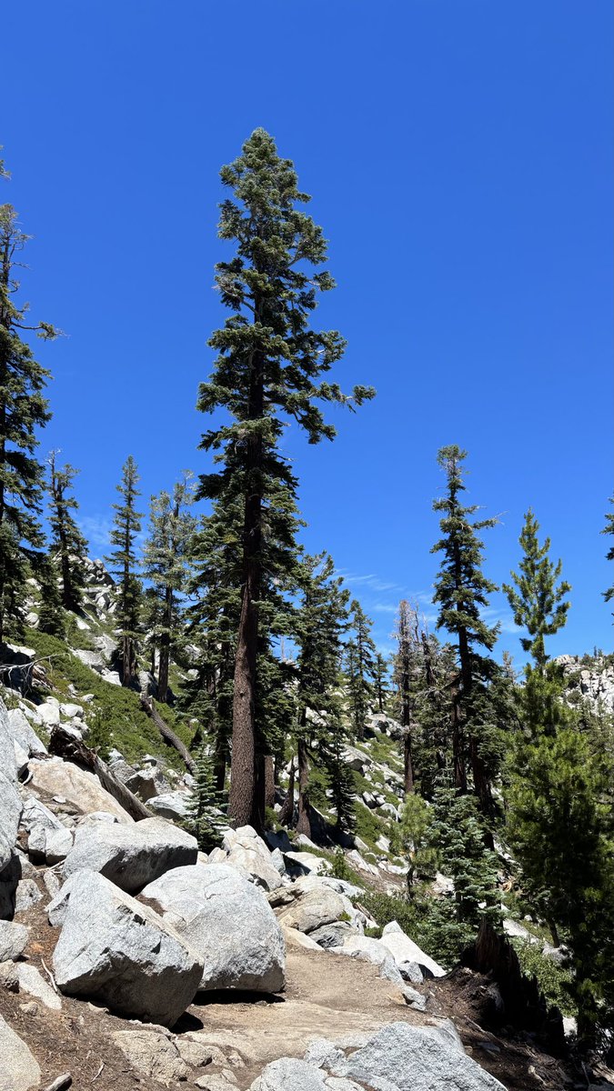 Robert_Drop's tweet photo. Quick trip to tahoe https://t.co/JxK1sQEXQi