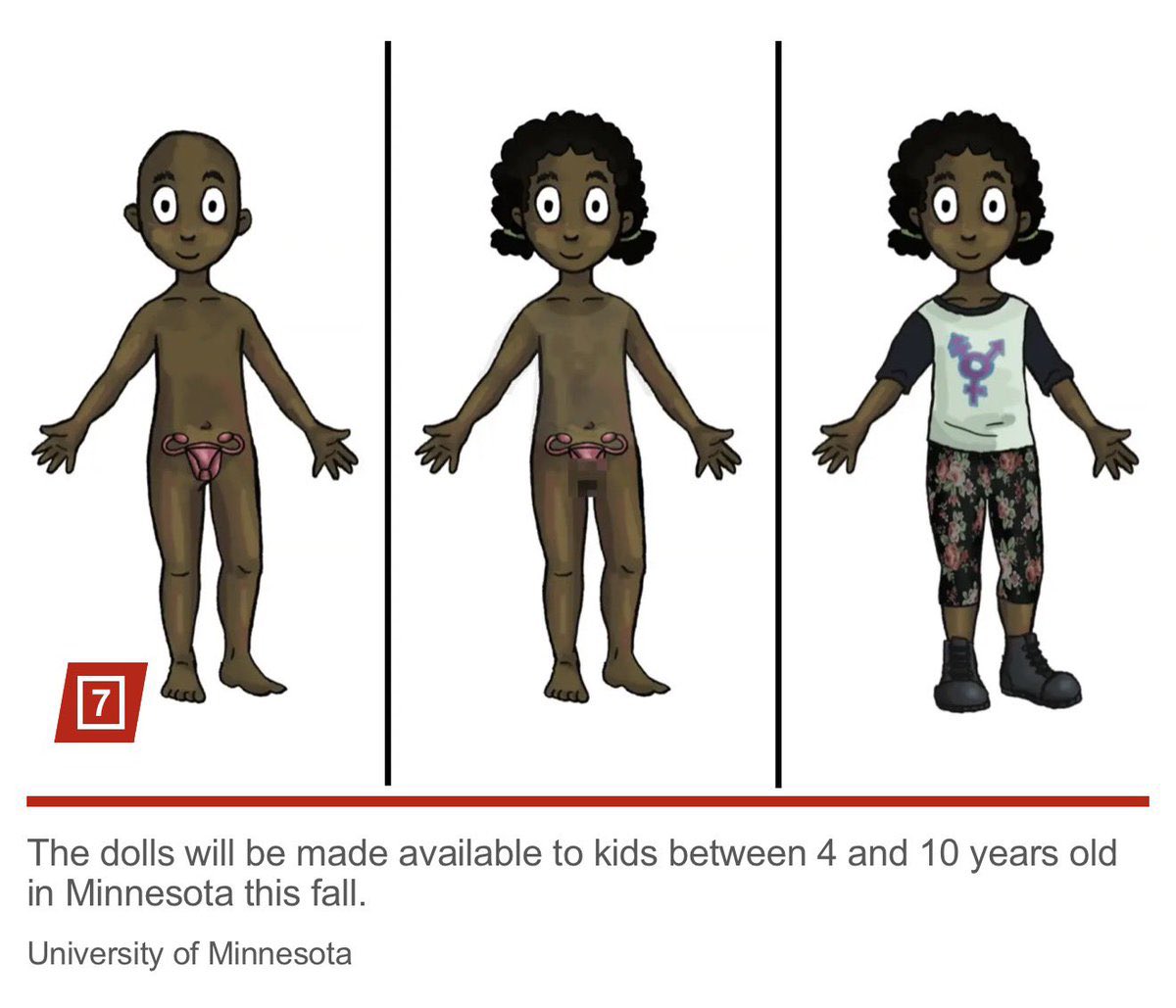 againstgrmrs's tweet photo. 🚨This is not a joke! Transgender dolls are coming to classrooms in Minnesota for children as young as 4. Each doll has interchangeable sex organs and genitalia to help youth explore identities. Please make it stop. No child is trans! https://t.co/CGtPoQMtWu