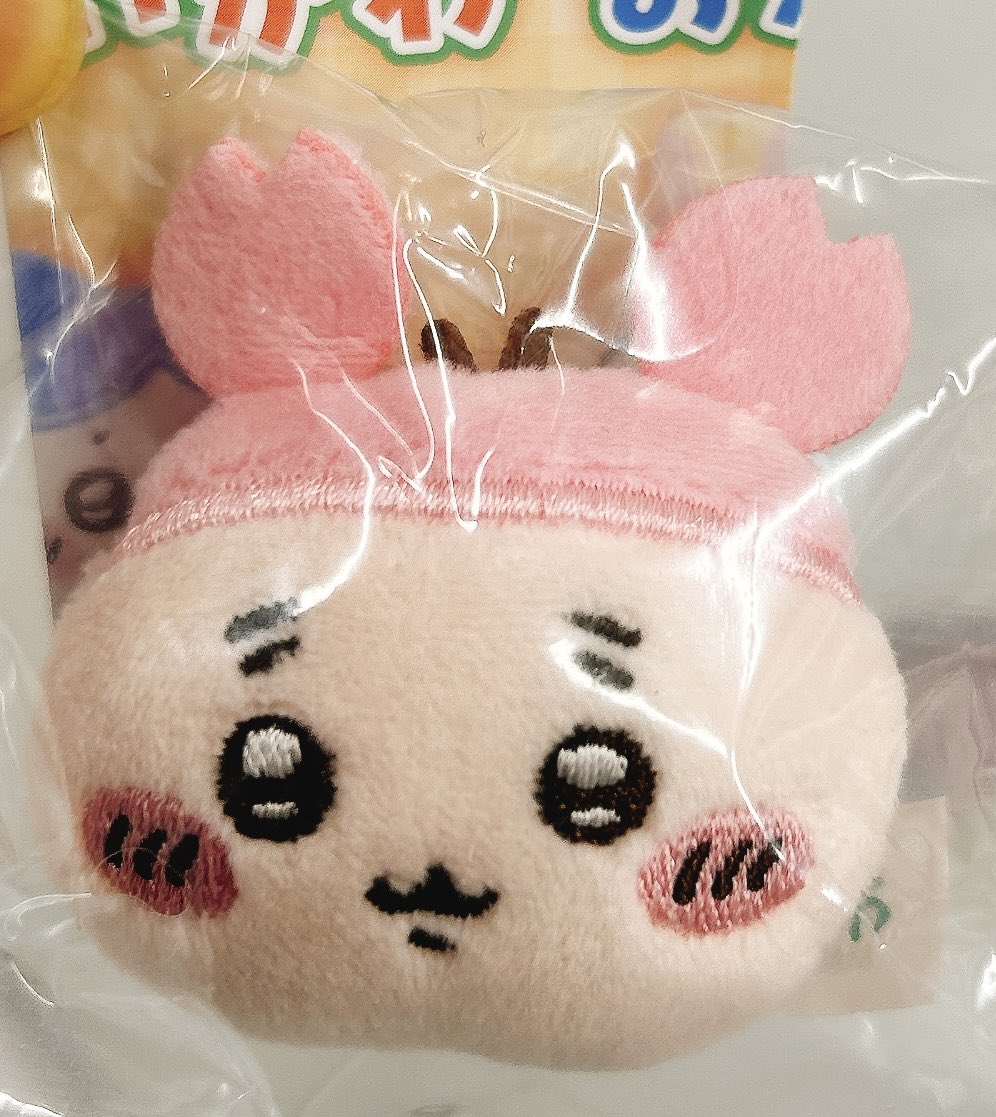 cookiebiscuit91's tweet photo. 行ってきました…🥹

ラッコ先生🥹💕🥹✨
カニちゃん🥹✨🥹🥺
島二郎🥹💕🥹✨

知識なくてもうんと楽しめました😌
帰りにくじも2回ひいちゃった…わァ…あ…🥹🙏 https://t.co/OYKeogEXPh