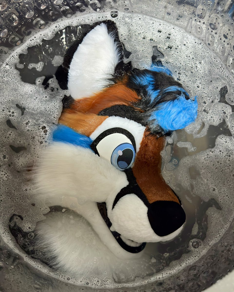 FoxNamedAri's tweet photo. I’m drowning them https://t.co/QMiU1g26jd