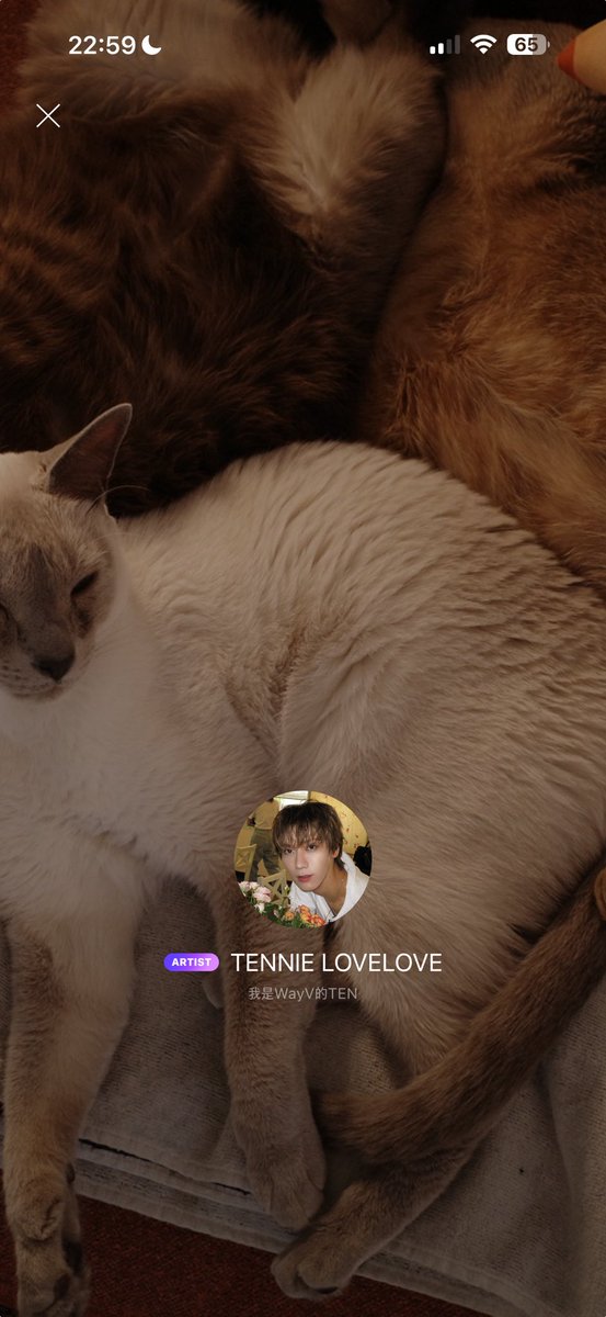 10velyleeten's tweet photo. น้องเตนมา บบ ในรอบเดือน ชีบอกยุ่งกับคอนมาก แล้วก็แวะมาเปลี่ยนรูปดิสกับปกด้วย น่ารักมากกก รูปตัวเองก็น่ารัก รูป 3 จิ๋วนอนกองกันก็น่ารักๆๆ 😭🫳🏻 https://t.co/KO7eFYihhO