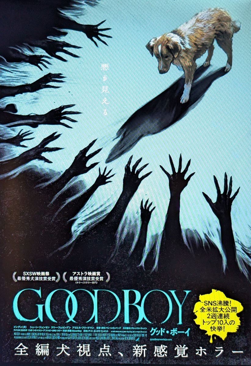 viggo_harrison's tweet photo. 『GOOD BOY』🦮

インディ(本名)めちゃくちゃ可愛かった…
お化けは全く可愛くなかった

座席は老若男女揃った中々の盛況ぶりでした👏👏👏
そして🇺🇸の映画ですけど🇬🇧映画のように何一つ解決しない事とインディの前任は悲しい目に遭っているので、全てのイッヌが無事なわけではない事は注意が必要です。 https://t.co/68eGVykdAI