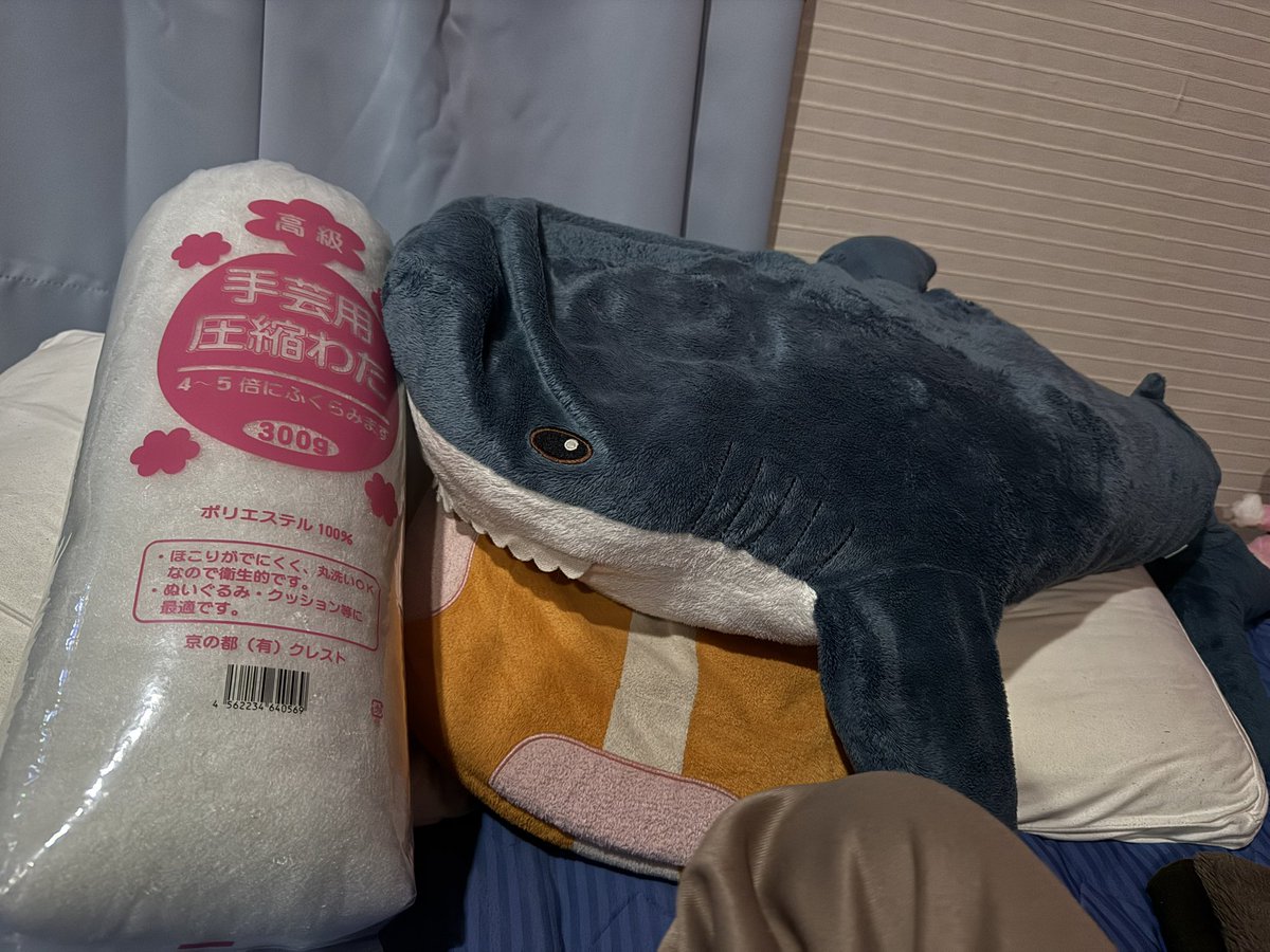 ぱすてら tweet media