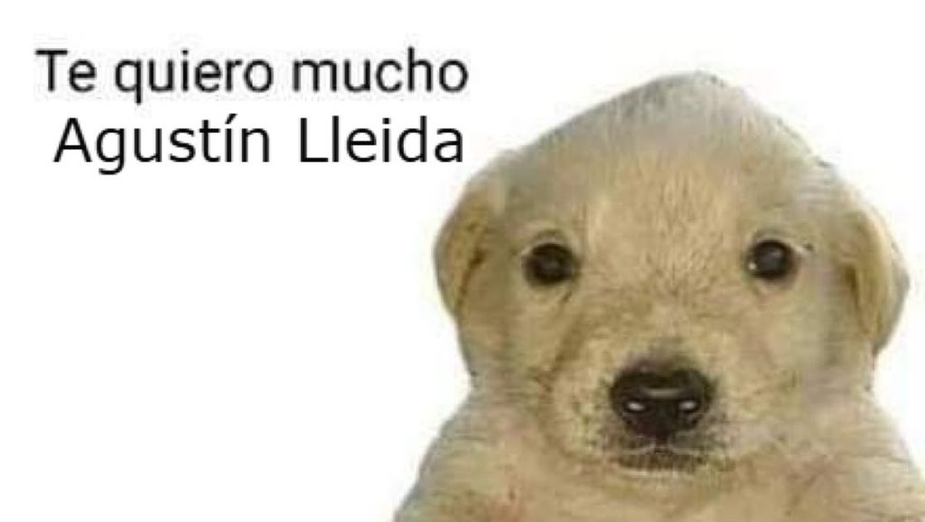 xuanovd's tweet photo. @RealOviedo https://t.co/cMnOk3uwmN