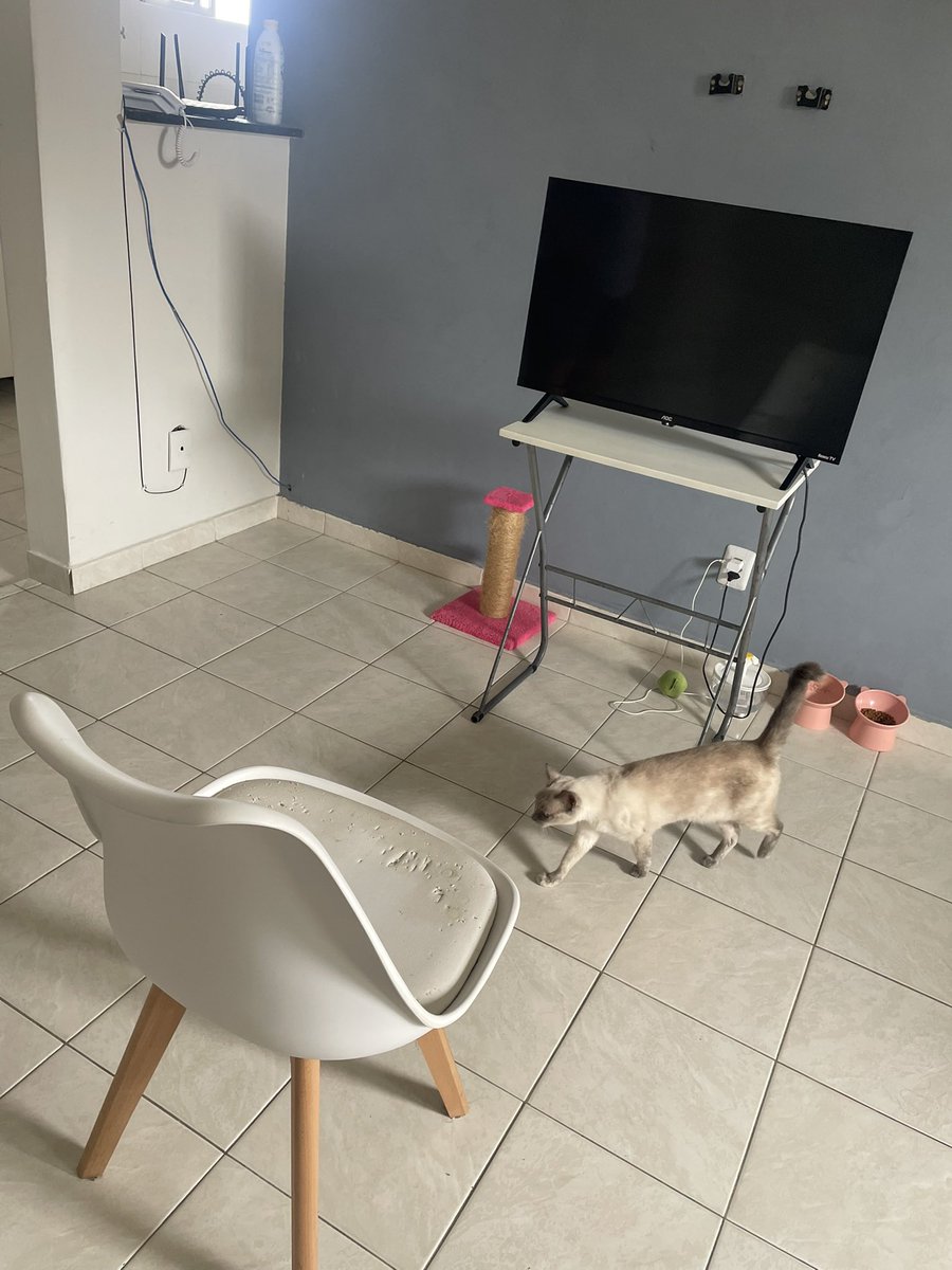 3stilete's tweet photo. apartamento luxuoso com móveis planejados https://t.co/vOslTFRY95