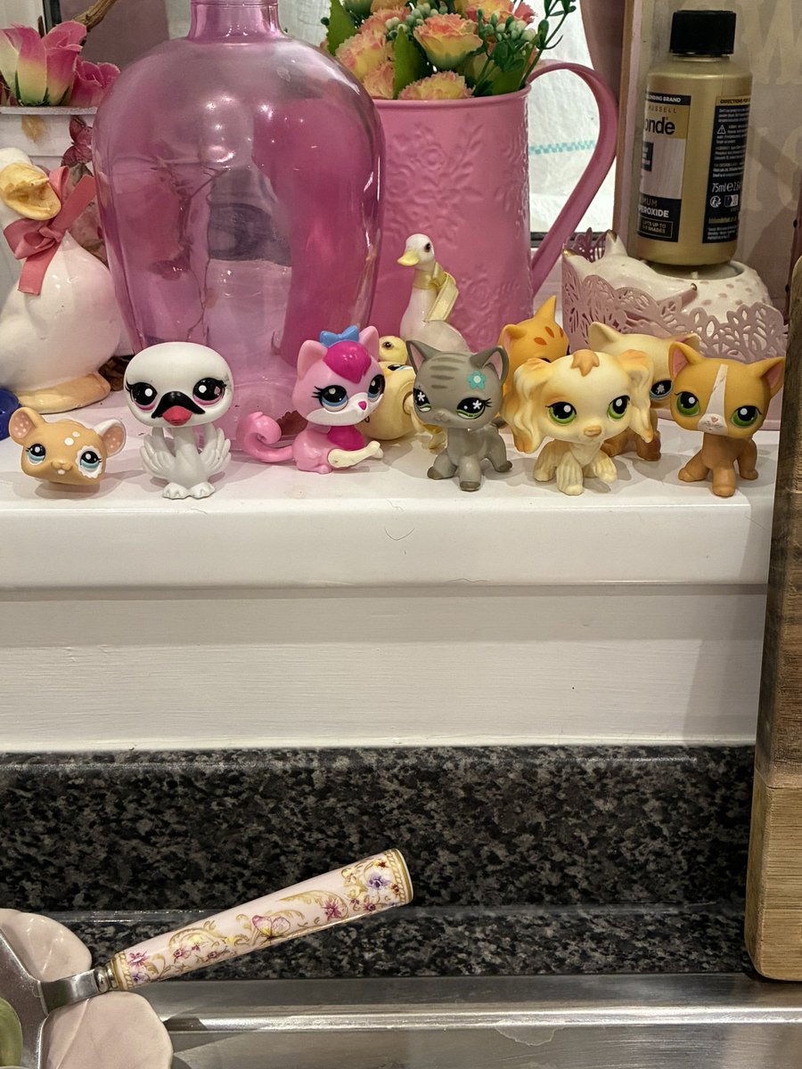 sylvieonzz's tweet photo. dont live with me or ill leave all my infected pets on ur sink https://t.co/YvvQ6cpZgT