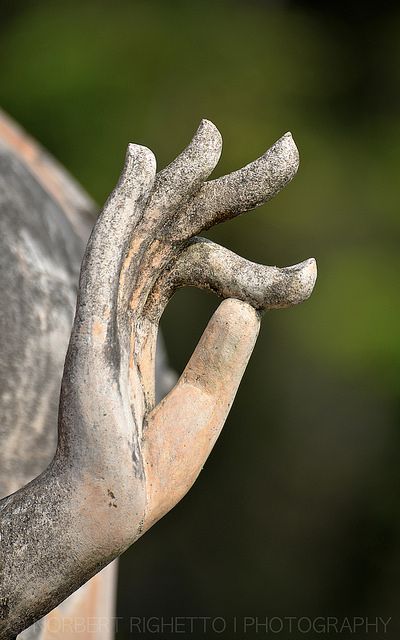 Zen masters tweet media